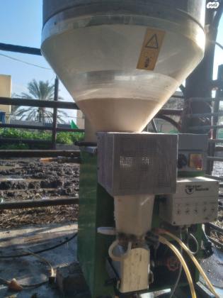 מינקת לטלאים