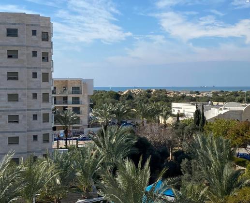 אגוזים 5 (סביוני ים)