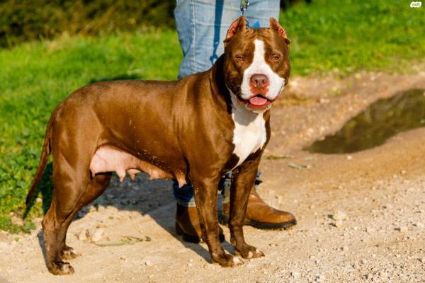 ל להלה מגיע הכי טוב