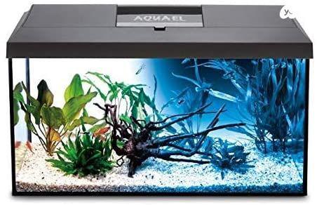 אקווריום חדש מחברת אקוואל הפולנית