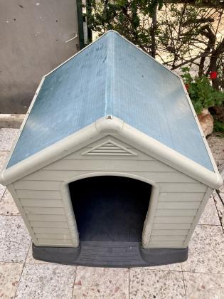 מלונה של חברת כתר לכלב גדול