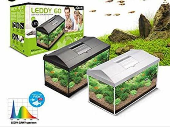 אקווריום חדש מחברת אקוואל הפולנית