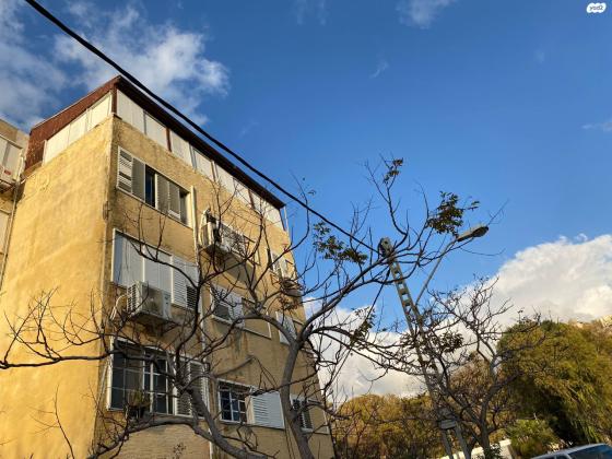 המלך שאול 7 (נווה דוד)