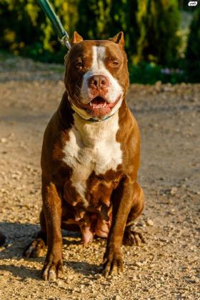 ל להלה מגיע הכי טוב