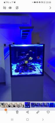 למכירה אקווריום פינינסולה רד סי 650