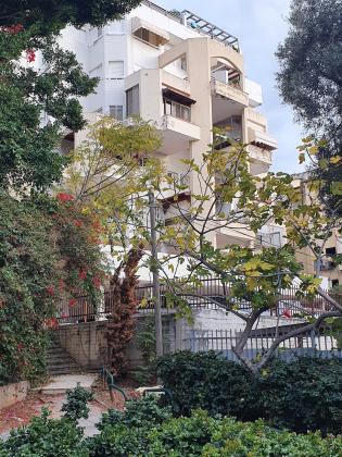 מנוחה ונחלה 49 (החלוץ;העבודה)