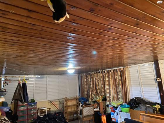 המלך שאול 7 (נווה דוד)