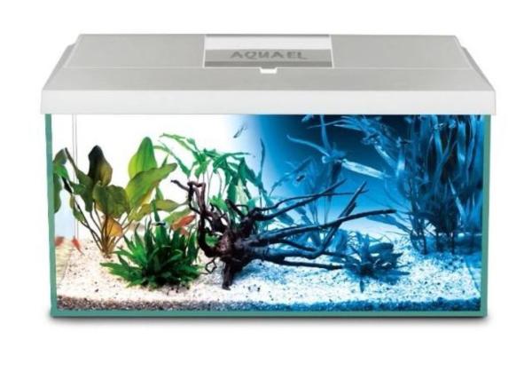 אקווריום חדש מחברת אקוואל הפולנית