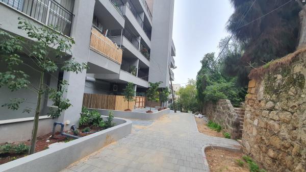 המעלות 17 (שיינקין)