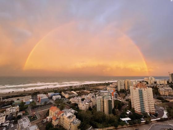 אלמוג 17 (רמת חביב)