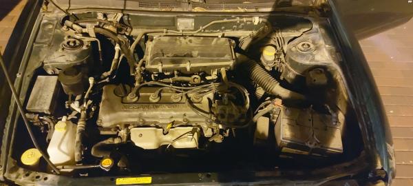 ניסאן אלמרה (1999)