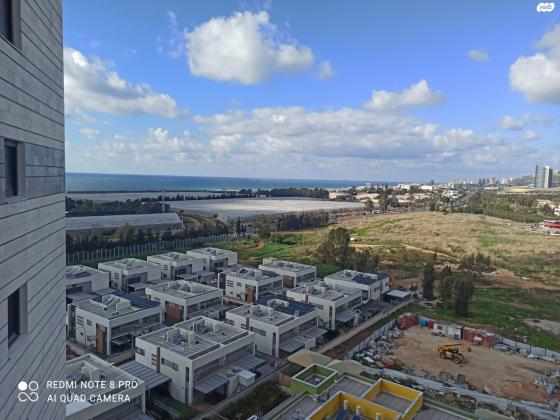 דולפין 1 (גלי כרמל, ז'בוטינסקי)