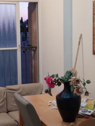 זלמן שניאור 8 (שכונה ב)