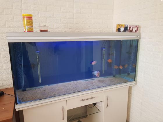 אקווריום גרמני חברת RENA מידות: