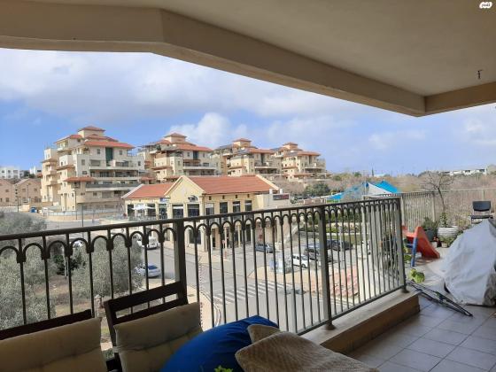 חסידה 18 (חלומות זכרון)