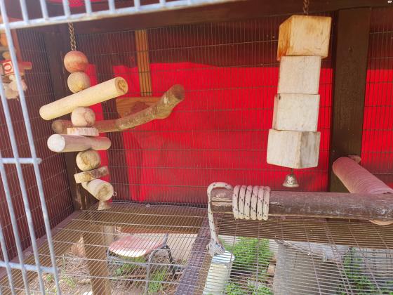 כלוב ציפורים לחצר נבנה בעבודת