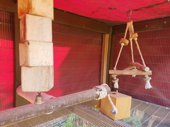 כלוב ציפורים לחצר נבנה בעבודת