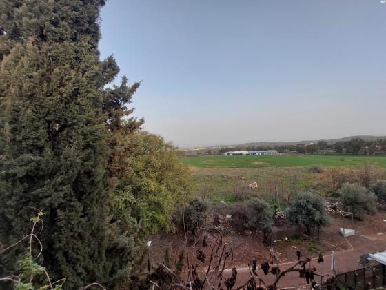 מנחם בגין 43