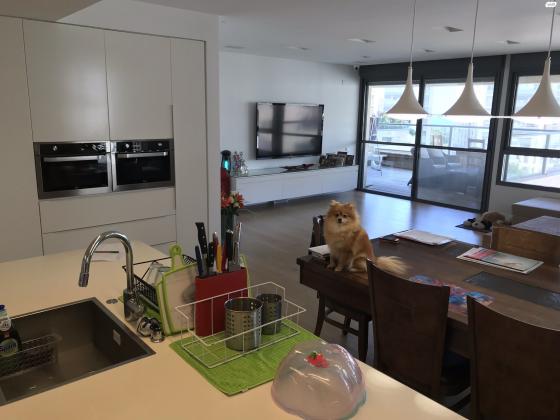 יחזקאל שטרייכמן 13 (הגוש הגדול)