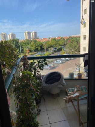 התוף 7 (נאות אשלים)