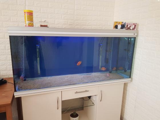 אקווריום גרמני חברת RENA מידות: