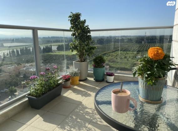 דקל הדום 15 (ניסן)