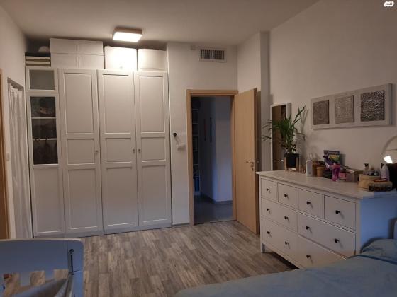 חסידה 18 (חלומות זכרון)