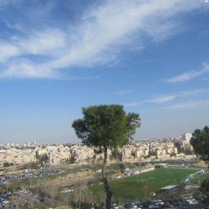 זאב חקלאי 15 (בית וגן)