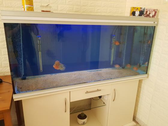 אקווריום גרמני חברת RENA מידות: