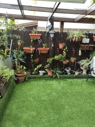 האירוסים 5 (רמות יצחק)