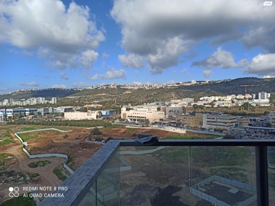 דולפין 1 (גלי כרמל, ז'בוטינסקי)