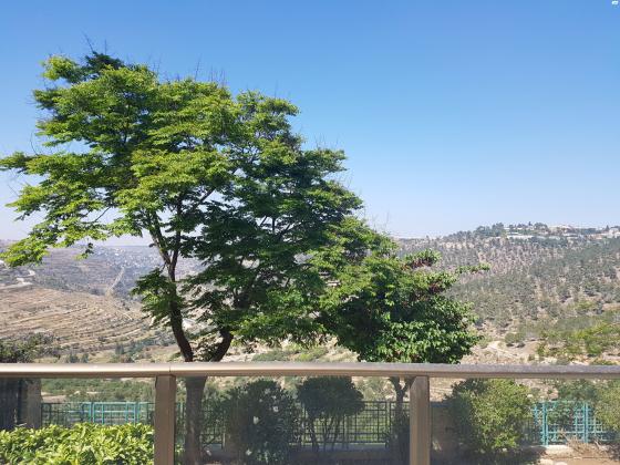 יעקב צור 25 (גבעת משואה)