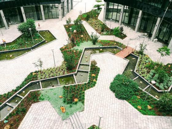 פרופ&#x27; אברהם פצ&#x27;ורניק