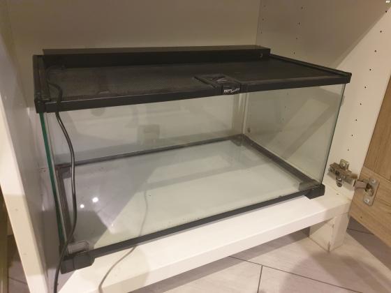 טטריום בגודל 50*25*30הטרריום בא מאובזר