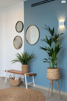 דקל הדום 15 (ניסן)