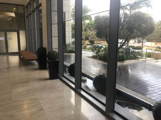 הזיתים 88 (רמת הדקלים)