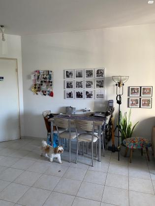 התוף 7 (נאות אשלים)