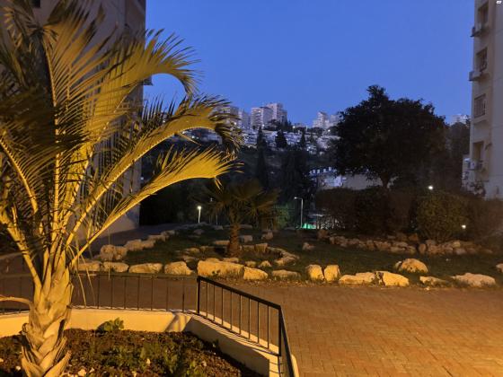 בודנהיימר 26 (קרית שפרינצק)