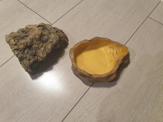 טטריום בגודל 50*25*30הטרריום בא מאובזר