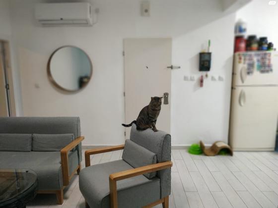 יצחק מוגזח 14 (מילצ'ן;שעריים)