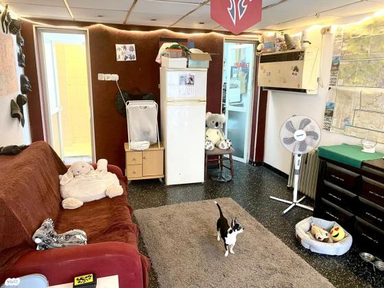 להשכרה דירת סטודיו-עיר תחתית חיפה