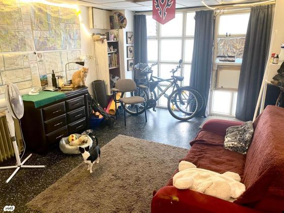 להשכרה דירת סטודיו-עיר תחתית חיפה