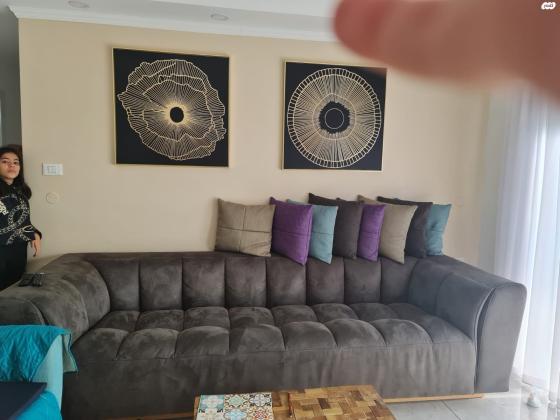 אלמוג 12 (גלי כרמל, ז'בוטינסקי)