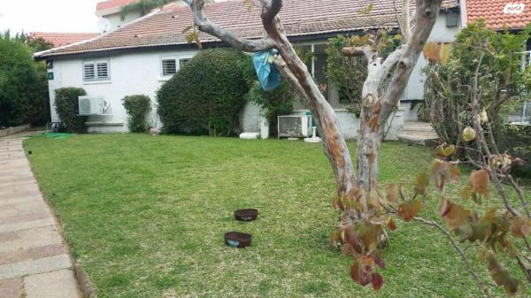 הדרור 6 (אפרידר)