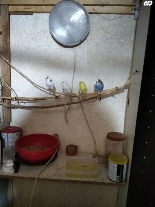 בס''ד אופקים או באר שבע