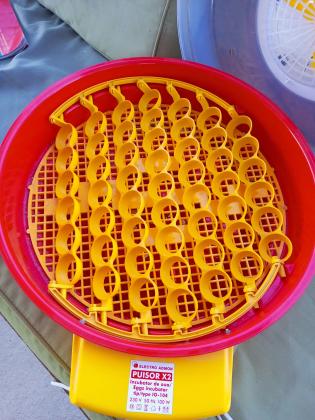 מדגרה אוטומטית תוצרת רומניה 51