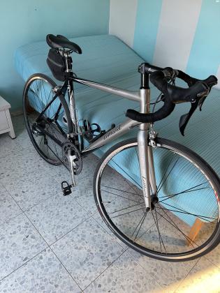 אופני כביש למונד מידה 55