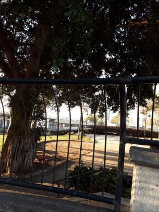 אליהו הגלעדי 8 (נאות הרצל)