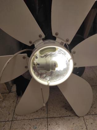 מאוורר תקרה שש כנפיים בצבע