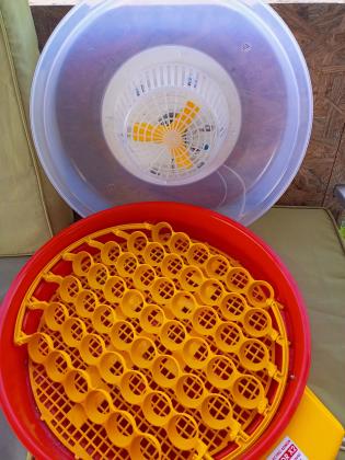 מדגרה אוטומטית תוצרת רומניה 51